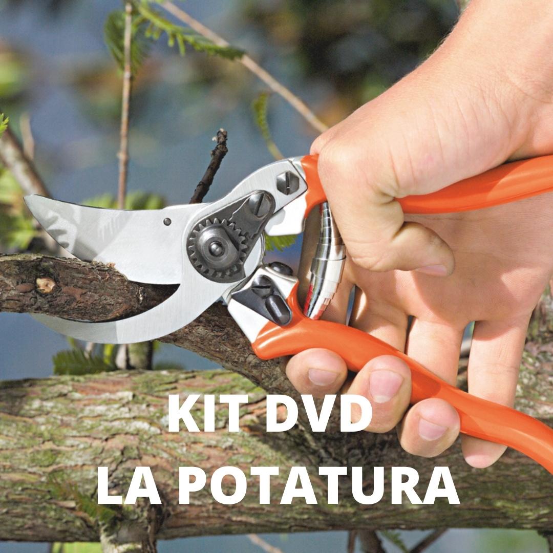 KIT-DVD-LA-POTATURA.jpg